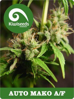 Семена Kiwi Seeds Auto Mako AF (Автоцветущие феминизированные)